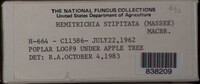 Image Associated With the Occurence